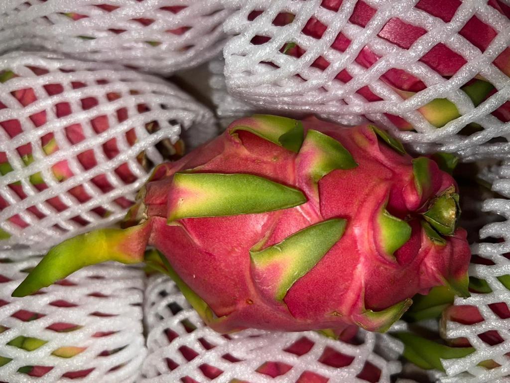 Dragon Fruit