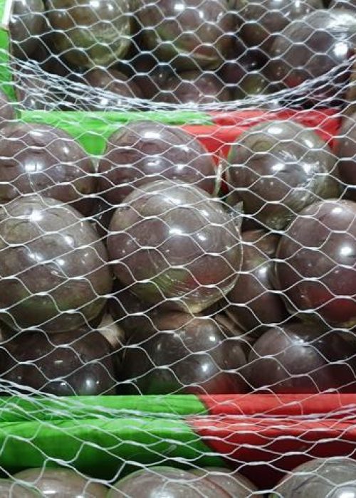 PHOTO-2023-09-26-06-16-42 (1)