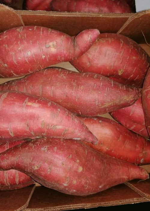 Sweet potato
