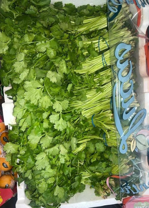 coriander